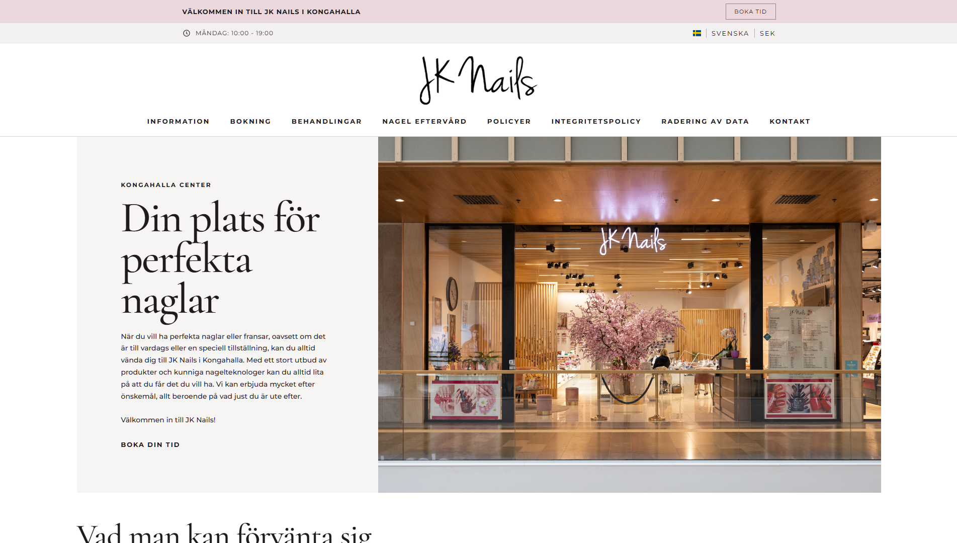 Website preview 1
